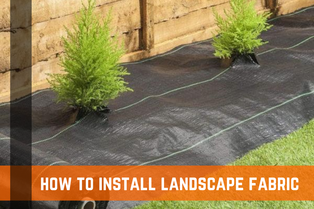 How to Install Landscape Fabric for Your Garden